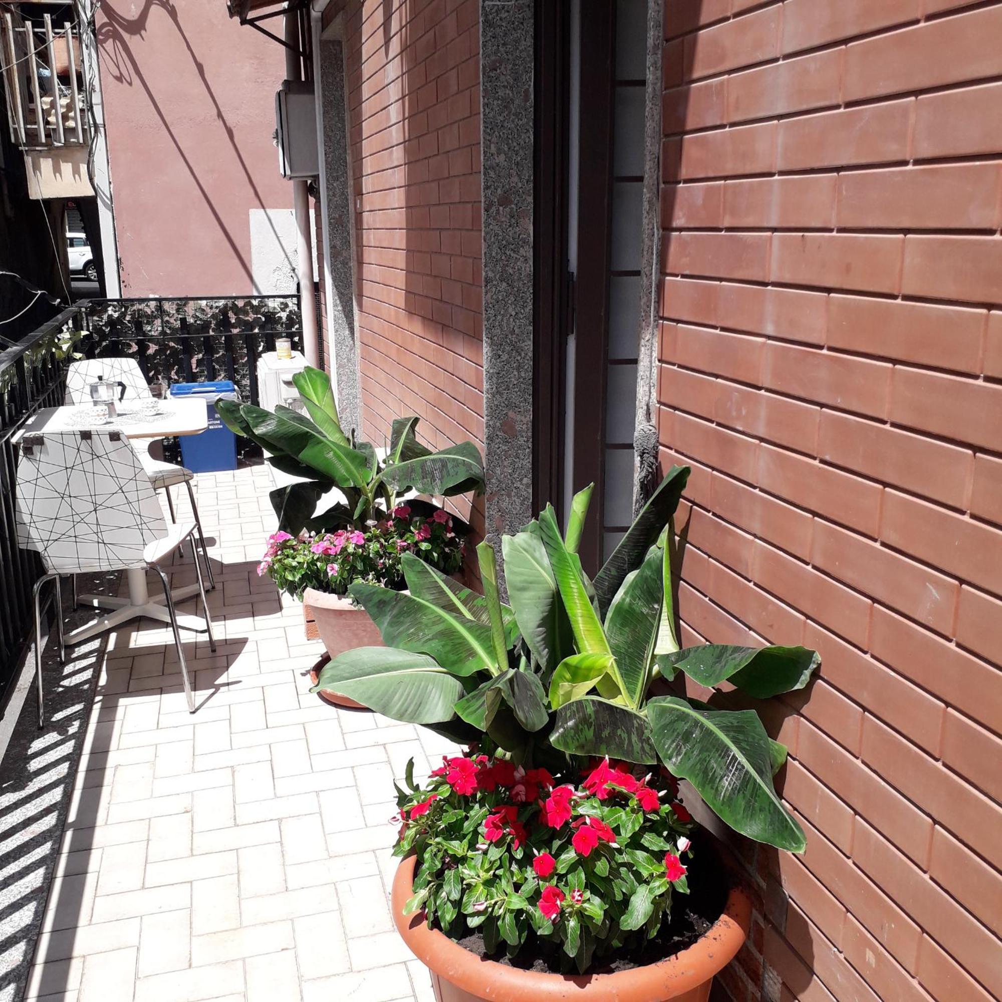 Le Case Del Cortile CTA Exteriér fotografie