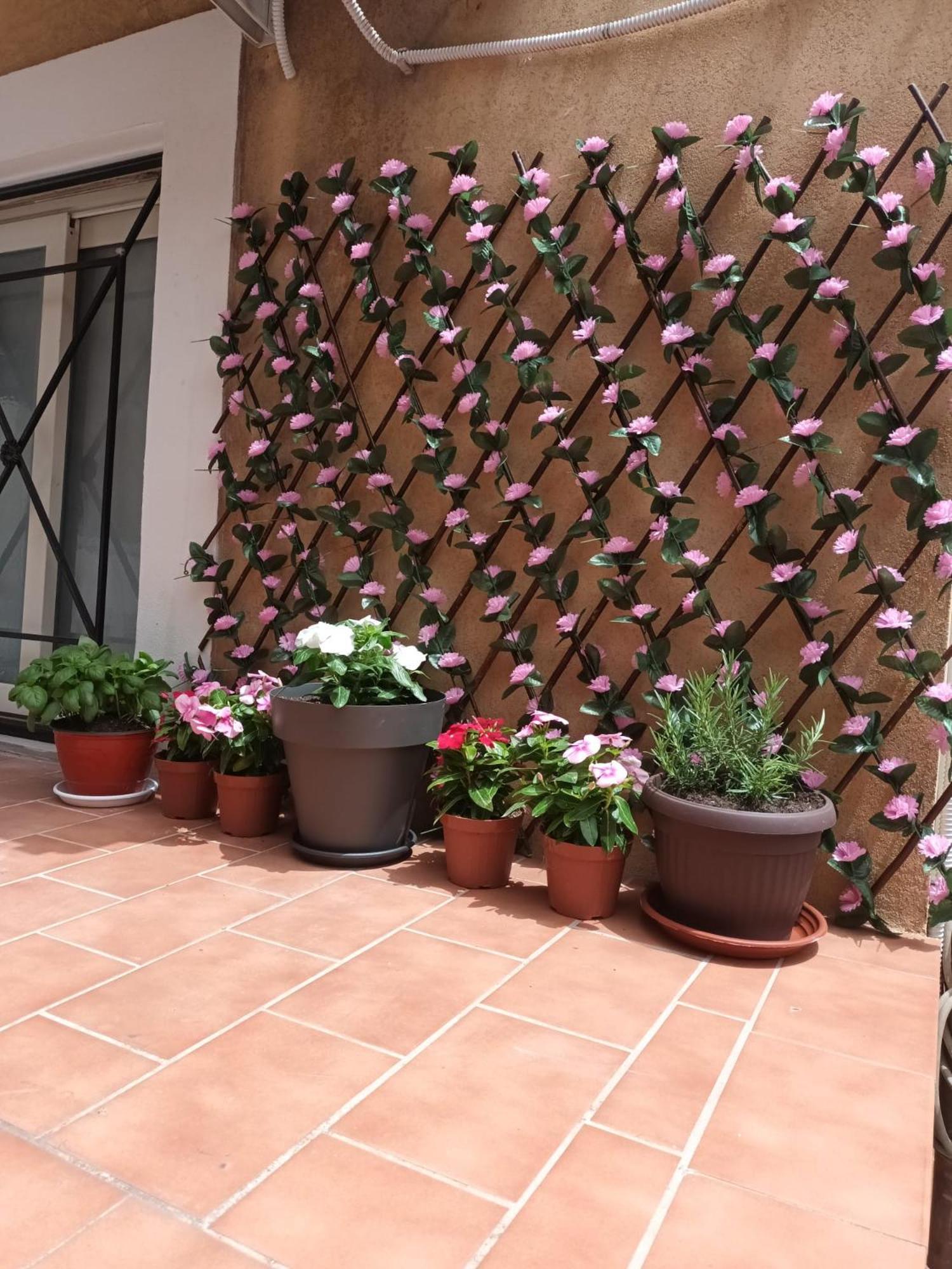 Le Case Del Cortile CTA Exteriér fotografie
